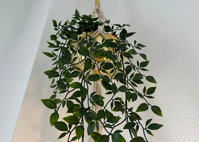 Lägenhet The Costa Bella House Torrevieja